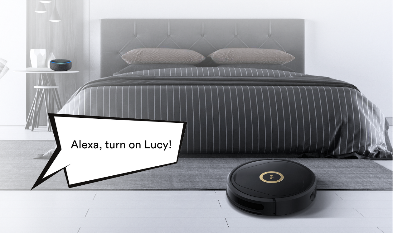 Lucyとアレクサ